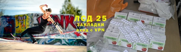 трава Магас