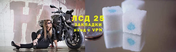 трава Магас