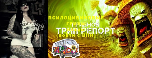МДПВ Майский